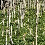 Photo taken by Jill T