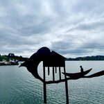 Photo taken by Caner K