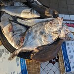 Photo taken by Beth M