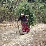 Photo taken by Marianne O