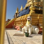 Photo taken by shelly s