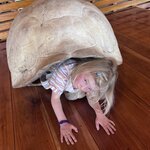 Photo taken by Norma G