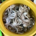 Photo taken by Kim C