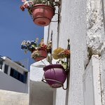 Photo taken by Cynthia F