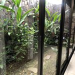 Photo taken by Anna L