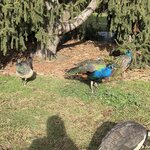 Photo taken by Linda S