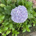 Photo taken by Julie G