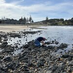 Photo taken by Amy Z