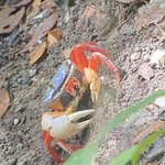 Photo taken by Kim L