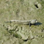 Photo taken by Barbara S