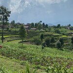 Photo taken by Vedran V