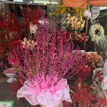 Photo taken by Kimberly A