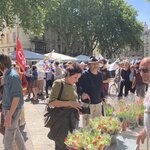 Photo taken by jane p