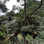 Photo taken by Tiphanny C