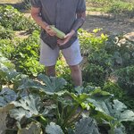 Photo taken by Nicole W