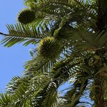 Photo taken by Rosemary S