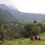 Photo taken by Miranda M