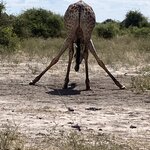 Photo taken by rhonda c