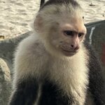 Photo taken by Randy H