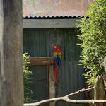 Photo taken by Greg L