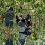 Photo taken by PADMABEN P