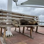 Photo taken by Kayla H