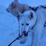 Photo taken by Paula S