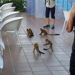 Photo taken by William R