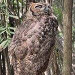 Photo taken by Veronica T