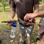 Photo taken by Emily H