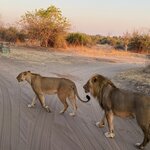 Photo taken by rafiq m