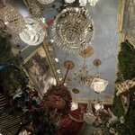 Photo taken by Anita N