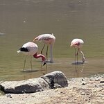 Photo taken by Caner K