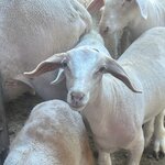 Photo taken by Robin S