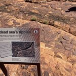 Photo taken by Kelsey D