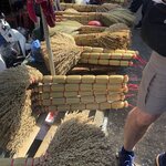 Photo taken by Jayne S