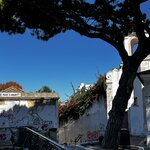 Photo taken by Dee C