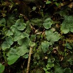 Photo taken by Caroline K