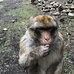 Photo taken by Leslie P