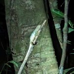 Photo taken by nikunj g