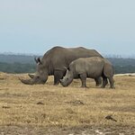 Photo taken by Julien C