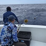 Photo taken by Alexandre M