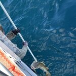 Photo taken by Susan K