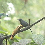 Photo taken by Marcia G