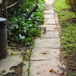 Photo taken by Annabelle L