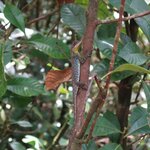 Photo taken by Randall C