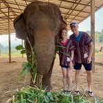 Photo taken by Steph V