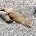 Photo taken by Joseph P