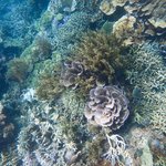 Photo taken by Izabella L