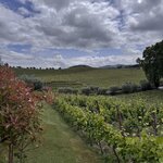 Photo taken by Alyson P